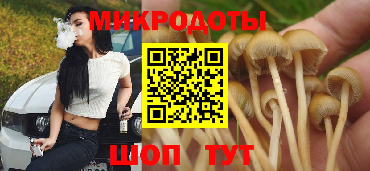 Псилоцибиновые грибы мицелий Абакан